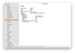 System Information (Mac) Screenshot.png