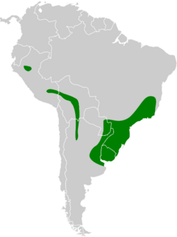 Thamnophilus ruficapillus map 2.svg