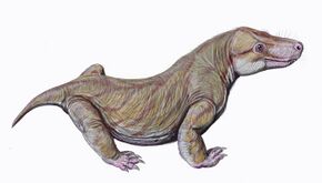 Viatkosuchus sumini.jpg