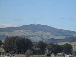 Wharite Peak from SH3 (closeup).jpg