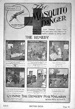 Advertisement entitled "The Mosquito Danger". Includes 6 panel cartoon:#1 breadwinner has malaria, family starving; #2 wife selling ornaments; #3 doctor administers quinine; #4 patient recovers; #5 doctor indicating that quinine can be obtained from post office if needed again; #6 man who refused quinine, dead on stretcher.