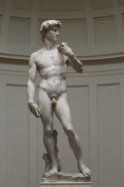 File:'David' by Michelangelo Fir JBU002.jpg