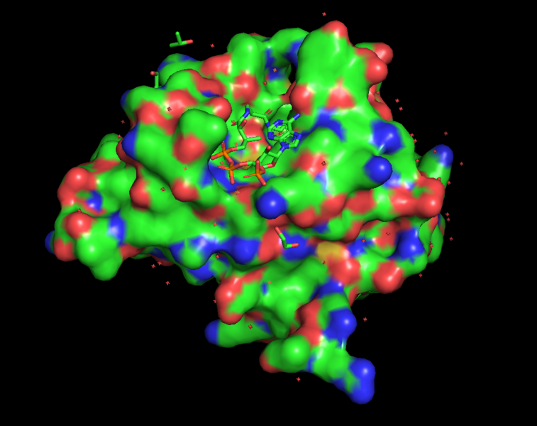 File:5H84 as recorded by PYMOL from the Protein Data Bank.png