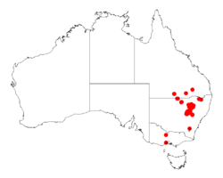 Acacia pilligaensisDistMap697.png