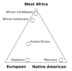 Admixture triangle plot.svg