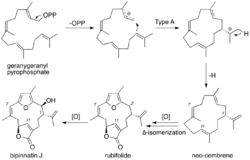 Bipinnatin J biosynthesis.png