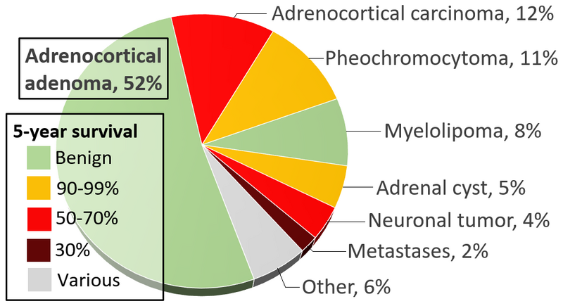 File:Incidences and prognoses of adrenal tumors.png