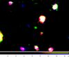 LAE J095950.99+021219.1.jpg