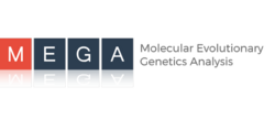 MEGA7 logo.png