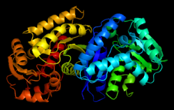 Maleate Isomerase.png