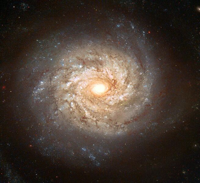File:NGC 3982 - Hubble space telescope, 2003.jpg