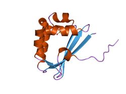 PDB 1tuw EBI.jpg