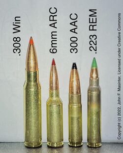 Rifle cartridges (l. to r.) .308 Win, 6mm ARC, 300 AAC, .223 Rem