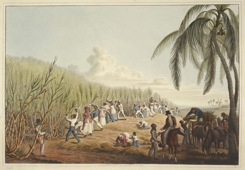 File:Slaves cutting the sugar cane - Ten Views in the Island of Antigua (1823), plate IV - BL.jpg
