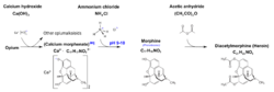 Synthesis of Heroin from Opium.svg