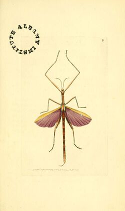 The zoological miscellany (6127017861).jpg