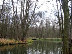 Unterspreewald-Gross-Wasserburger-Spree-01.jpg