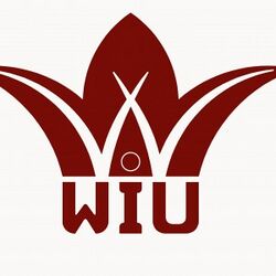 Wadi International University logo.jpg