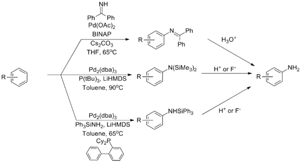 Ammonia equivalents in the Buchwald–Hartwig amination