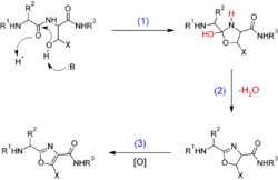 Biosynthesis of oxazole.png