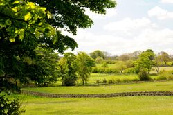 High nature value farmland in England.jpg