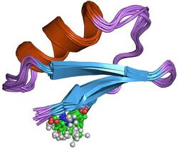 PDB 2crd EBI.jpg