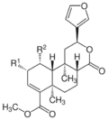 Salvinorin CDEFGH.svg