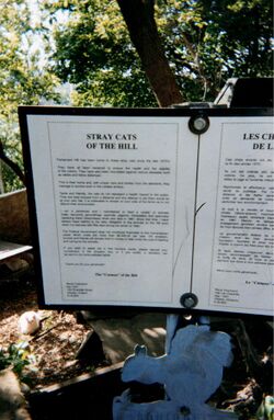 "Stray Cats Of The Hill History" Plaque.jpg