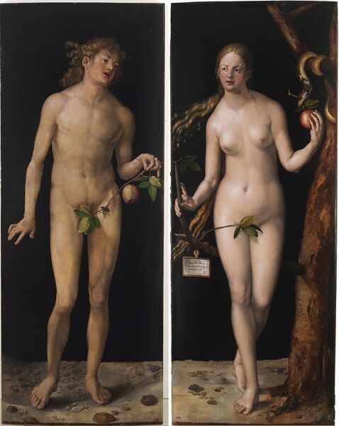 File:Albrecht Dürer - Adam and Eve (Prado) 2.jpg