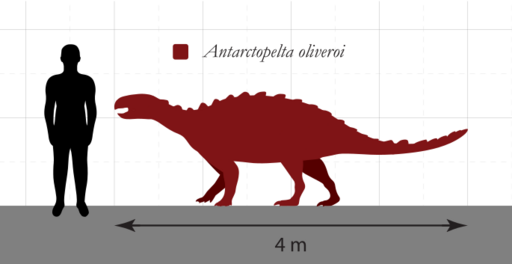 File:Antarctopelta Size Comparison.svg