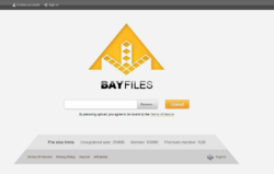 BayFiles frontpage.png