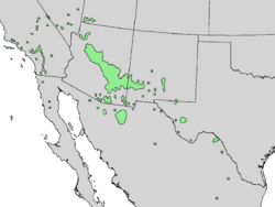 Fraxinus velutina range map 4.png