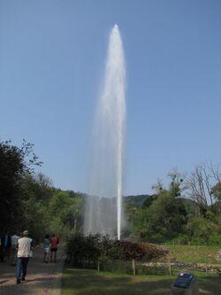 Geysir Andernach 2009.JPG