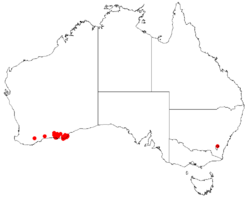 Hakea adnataDistMap3.png