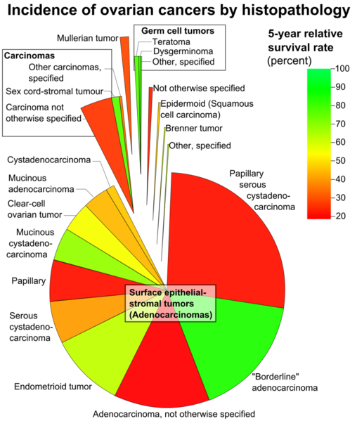 File:Incidence of ovarian cancers by histopathology.png