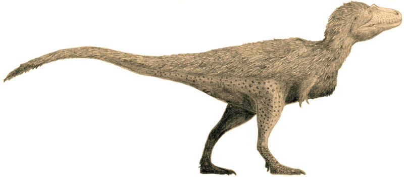 File:Lythronax by Tomopteryx flipped.png