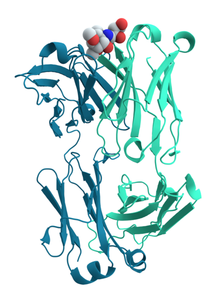 File:Mouse cholera antibody.png