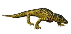 Mycterosaurus NT small.jpg