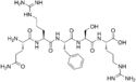 Chemical structure of Opiorphin.