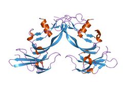 PDB 1s4y EBI.jpg