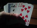 Playing Cards.jpg