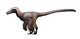 Pyroraptor olympius reconstruction.png
