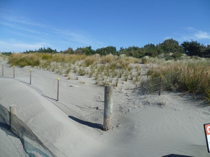 File:Sand dunes at Spencer Park, New Zealand.jpg