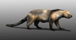 Sarkastodon mongoliensis NT.jpg