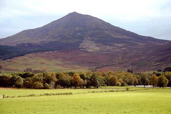 A view across green fields to a mountain rising behind a line of trees. Its flanks are bare, and the mountain shows a distinctly symmetrical peak.