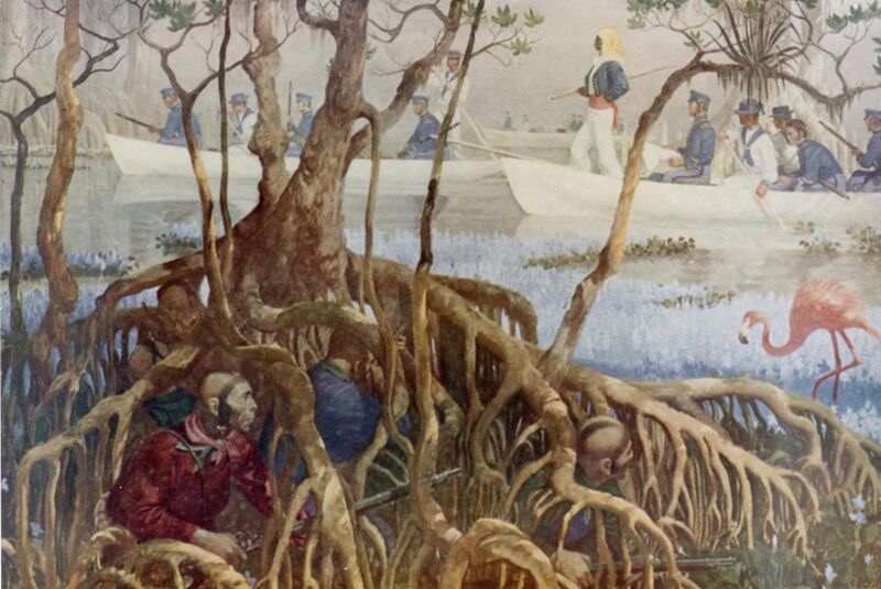 File:Seminole War in Everglades.jpg