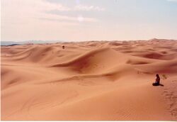 Landscape of the southern fringe of the Tengger Desert