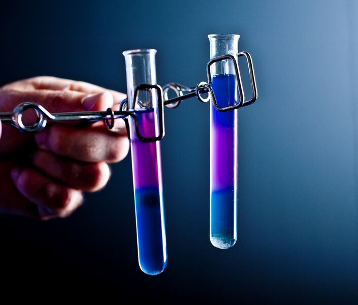 File:Two small test tubes held in spring clamps.jpg