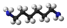 Ball and stick model of hexamethylenediamine