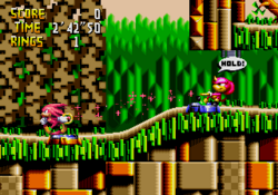 Gameplay screenshot of Knuckles and Espio in Isolated Island, the first level of Knuckles' Chaotix. This particular screen shows the game's cooperative "rubber band" physics in action.